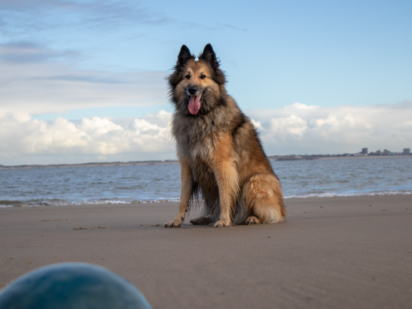 2025-09-23 IMG_10544