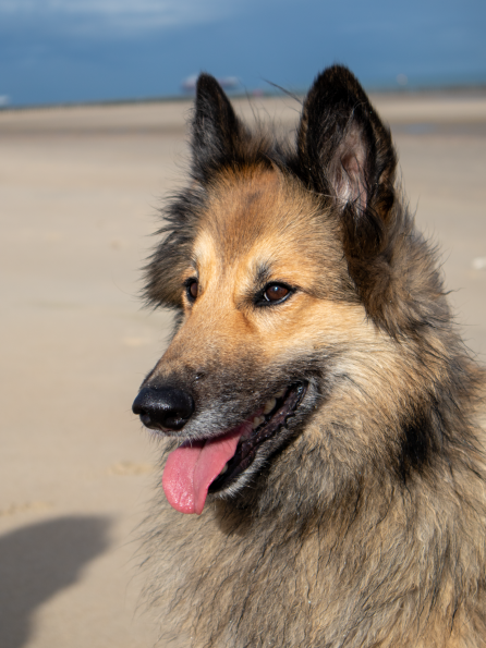 2025-09-23 IMG_10778